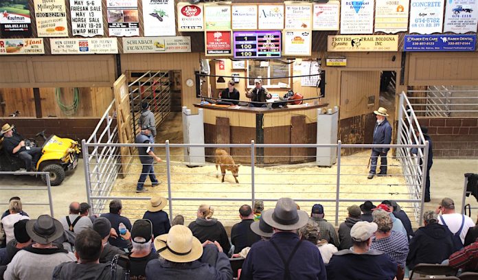 Mt. Hope center Mt. Hope Auction