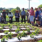 Researchers put soil balancing to test Produce tour at Artisan Acres
