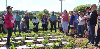 Researchers put soil balancing to test Produce tour at Artisan Acres