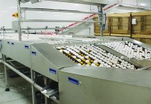 In northwestern Pa., Sperry Farms processes 4 million eggs a day Sperry egg farm