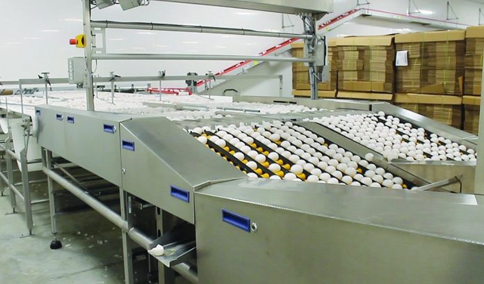 Sperry egg farm Sperry egg farm