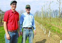 Apple Castle orchard and market: 7 generations and still growing Apple Castle Johnstons