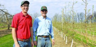 Apple Castle Johnstons