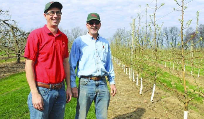Apple Castle Johnstons