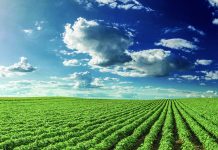 Are you farming for the future? future of farming Susan Crowell