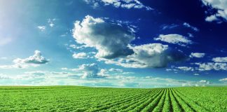 future of farming Susan Crowell