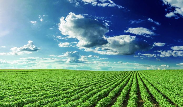 farm horizon future of farming Susan Crowell