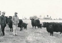 Ohio family recognized for historic Angus herd rentz angus award