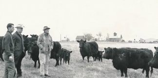 Ohio family recognized for historic Angus herd rentz angus award