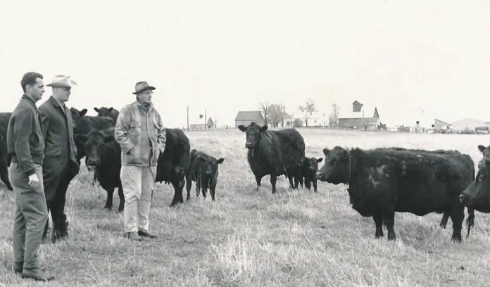 rentz angus award rentz angus award