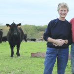 Ohio beef farmers capitalize on solar power solar bauer beef