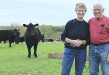 Ohio beef farmers capitalize on solar power solar bauer beef