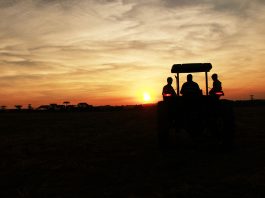 6 tips for decision making on a family farm sunset tractor