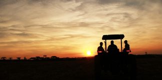 sunset tractor