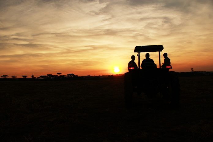 sunset tractor