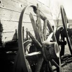 Bonanza farms were a huge undertaking