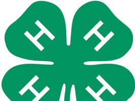 4-H-logo