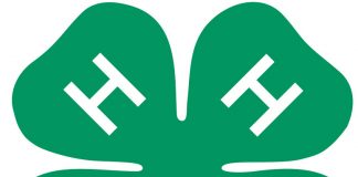 4-H-logo