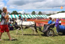 Field day puts the spotlight on family Family Farm Field Day
