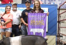 Carroll County Fair auction 2017