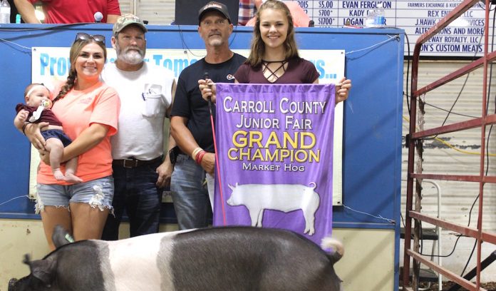 Carroll grand market hog