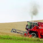 Are poor crop conditions pushing prices up (or down)? wheat harvest
