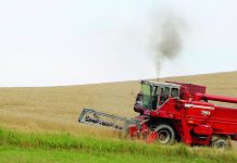 Are poor crop conditions pushing prices up (or down)? wheat harvest