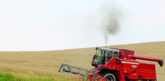 Are poor crop conditions pushing prices up (or down)? wheat harvest