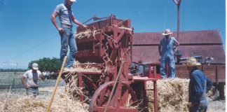 Baling technology continues to progress