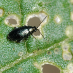 Screen Shot 2017-07-10 at 4.28.19 PM