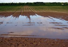 Do you comply with Ohio’s drainage laws?