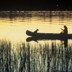 Meet the floating, midsummer blob