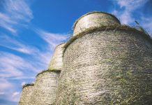 Morning dew predicts the forecast