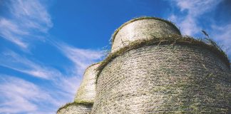 Morning dew predicts the forecast