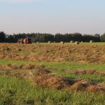 baler and round bales