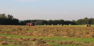 baler and round bales