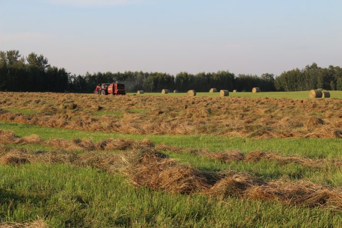 farm-baler-round-hay-bales baler and round bales