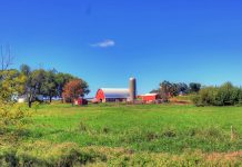 Farming within your means farmhouse