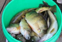 Top water bass fishing about to peak