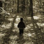 Forests are great teachers