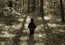 Forests are great teachers