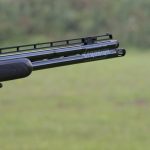 Eye dominance in shotgun shooting shotgun