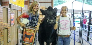 Summit County Fair sale was a night of new records Summit Co champion steer