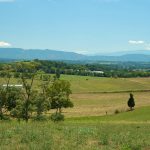 How will pasture recover after flooding event