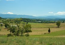 How will pasture recover after flooding event
