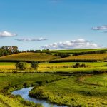 Mowing, grass clippings can cause streambank erosion