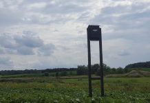 Geauga SWCD to host program on bats Jan. 25 BatBox