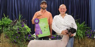 Mercer County 4-H Roundup results Mercer grand lamb