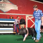 Ohio State Fair 50th sale of champions Ohio champion hog