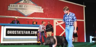 Ohio State Fair 50th sale of champions Ohio champion hog
